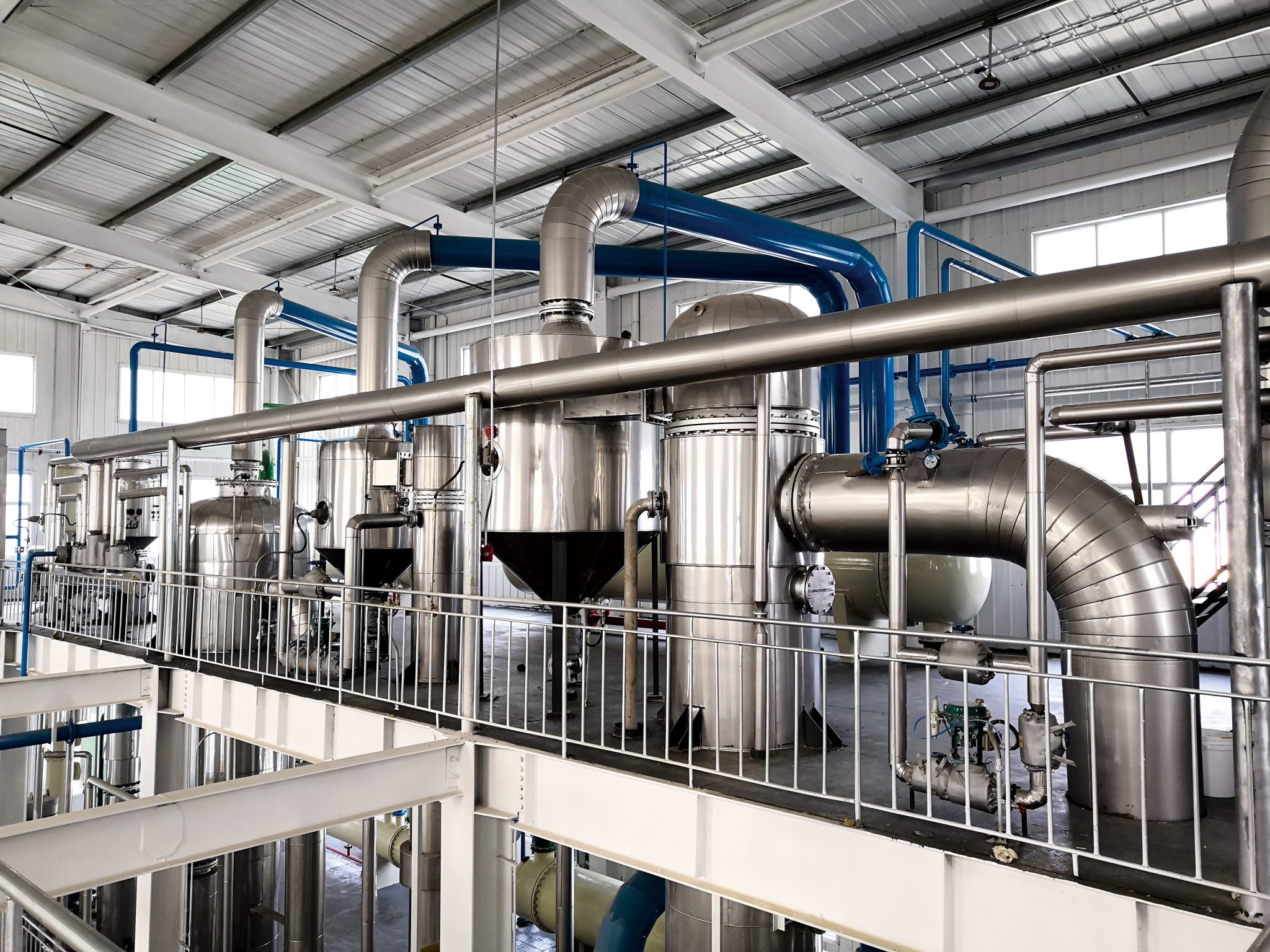 Edible Oil Refining Plant